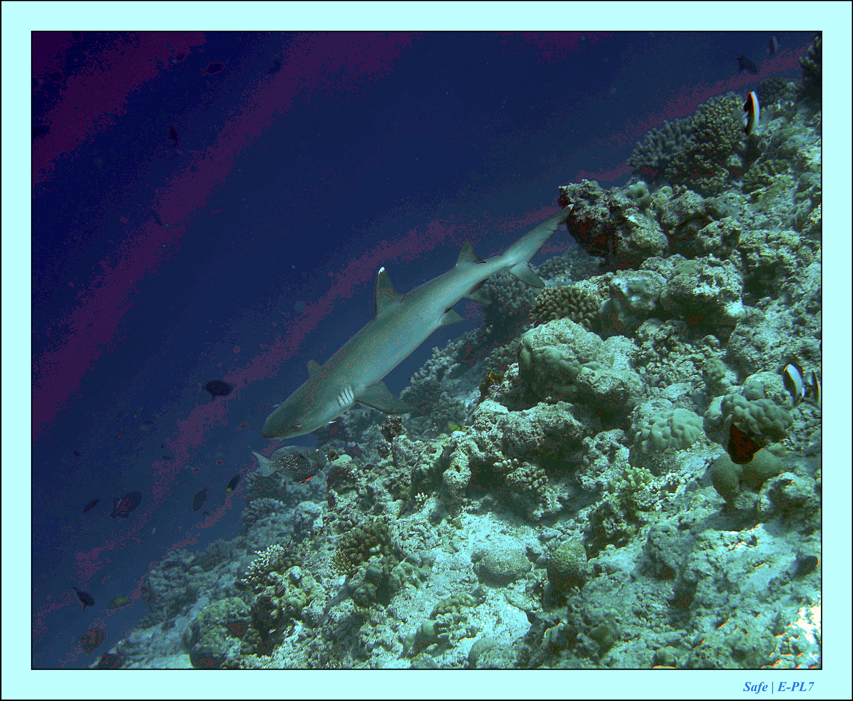 2023 - 07 - Sandies Bathala - 178